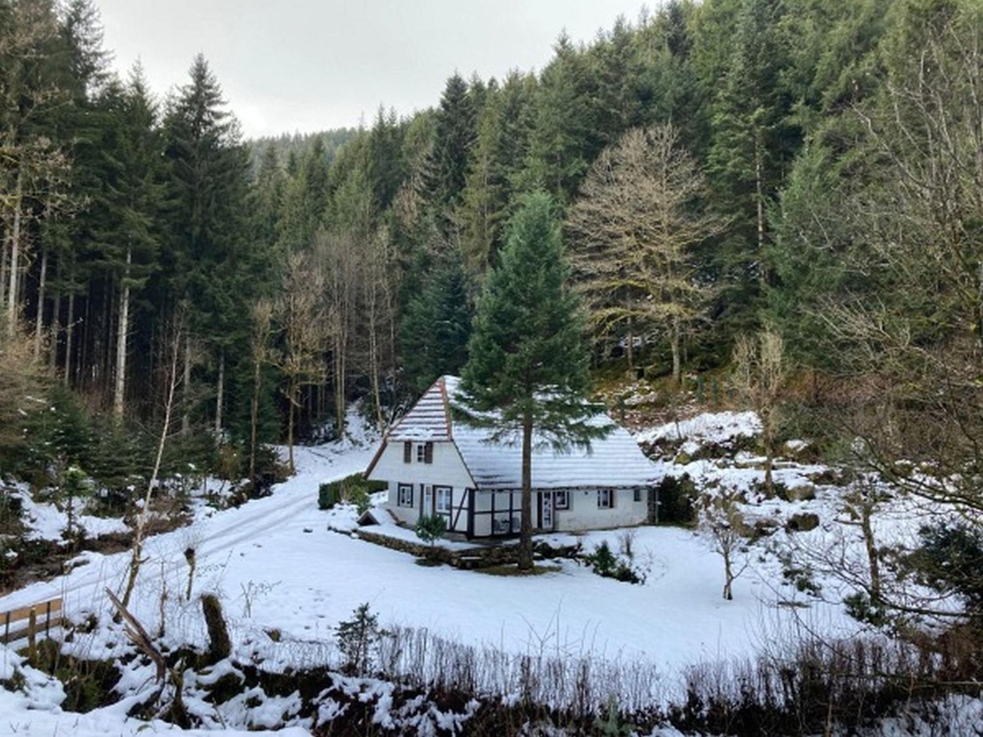 Apartamento Waldbauernhof Hornberg Exterior foto